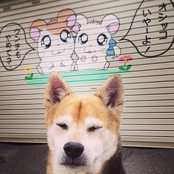 “青春逐梦”青少年篮球文化节在福州精彩开幕,推广体育文化,福建青少年篮球赛