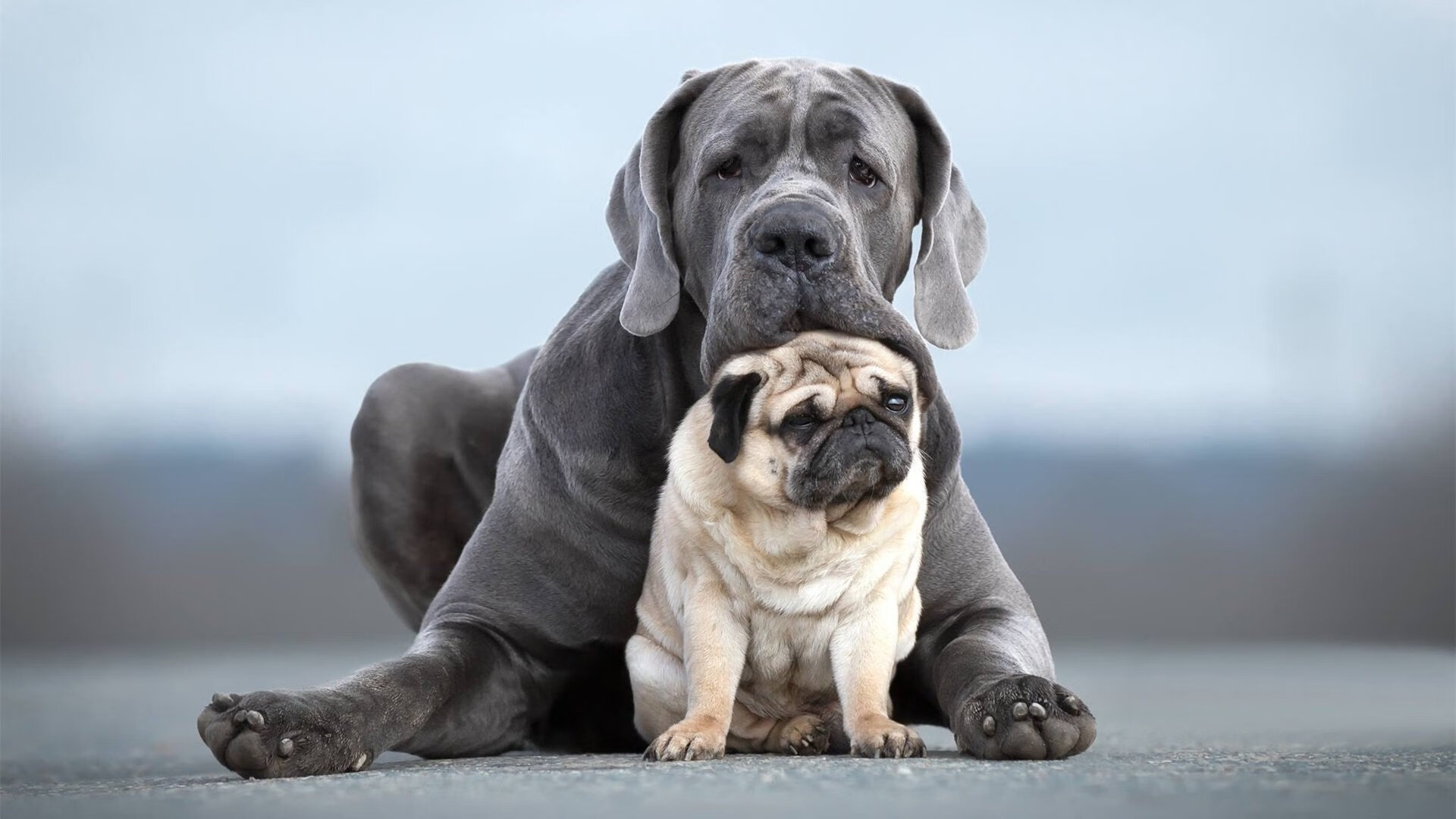 日本球员心理素质过硬,日本球员心理素质过硬的原因