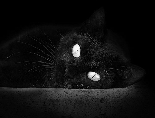 爱游戏登录入口-江苏队新援加盟，为季后赛添动力，江苏队新援加盟,为季后赛添动力的是谁