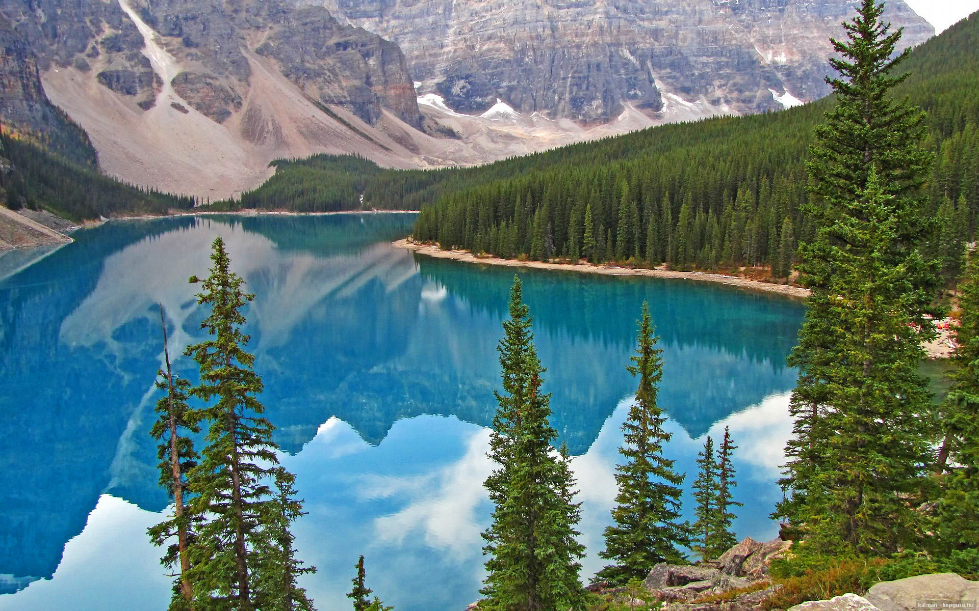 -球场“坚不可摧”的防线：冠军的秘密堡垒