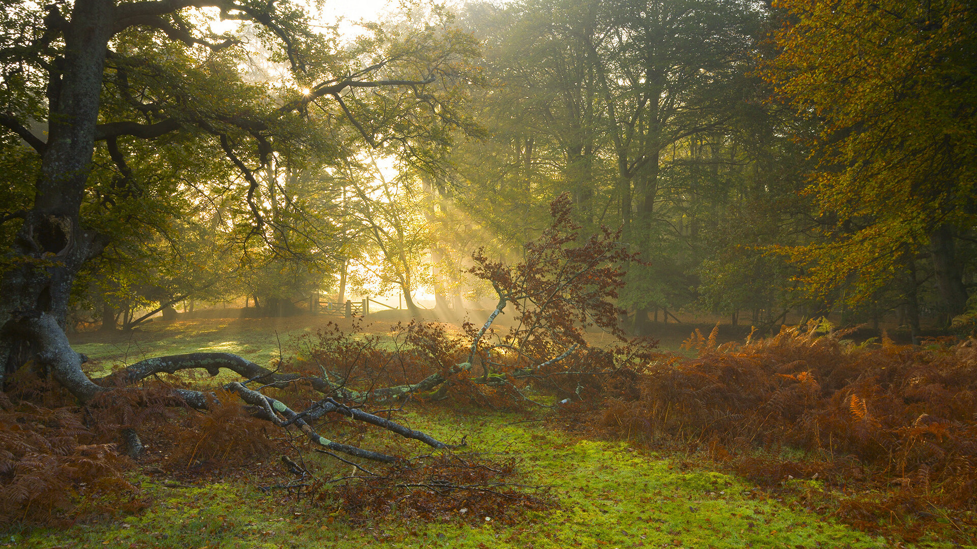 竞技之外:台球运动的文化交流与传承,台球竞技精神是什么