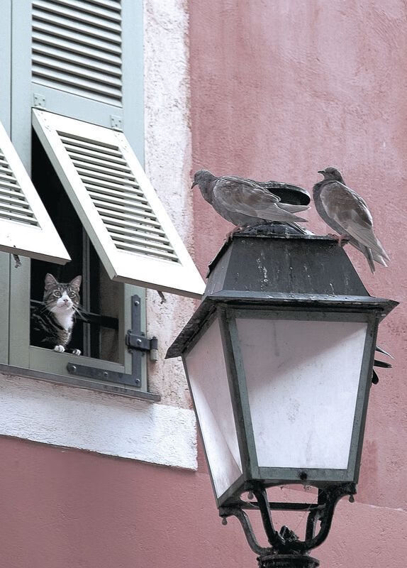 爱游戏中国官方登录入口网站-足球历史回顾栏目收获高收视率，足球历史经典比赛