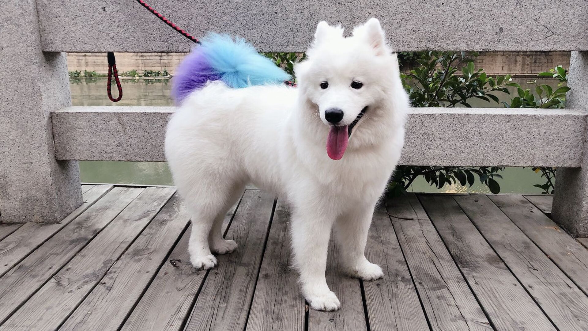 爱游戏在线登录入口-青训“智慧+绿色”双项工程在全国铺开，行业发展迈向高品质