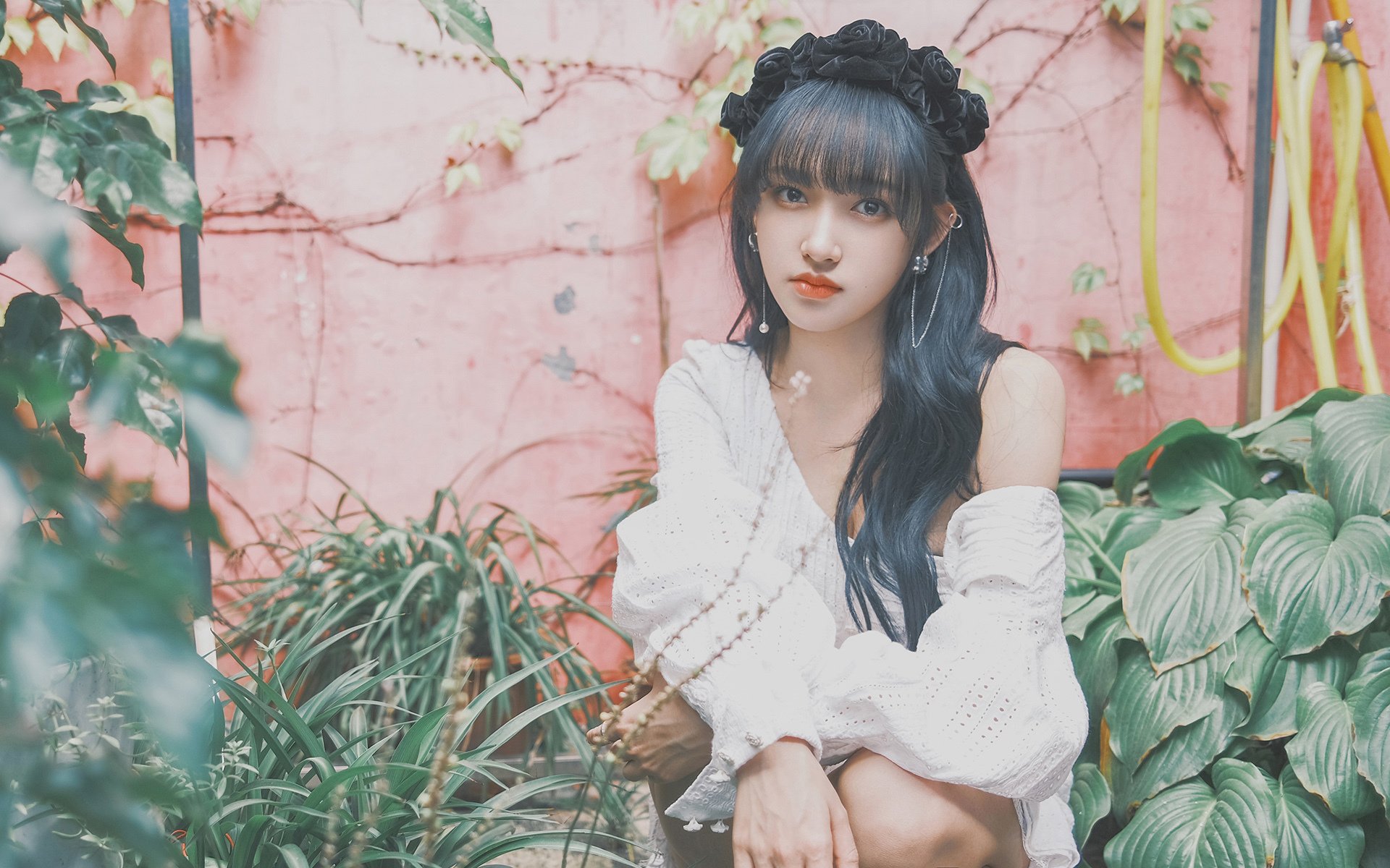 KPL新版本适应性分析,kpl版本变化