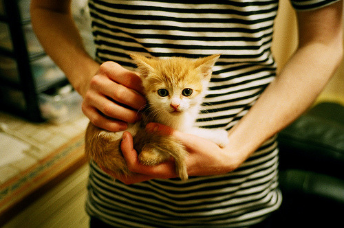 AYX GAMING-T1战队粉丝互动增强，t1战队怎么样