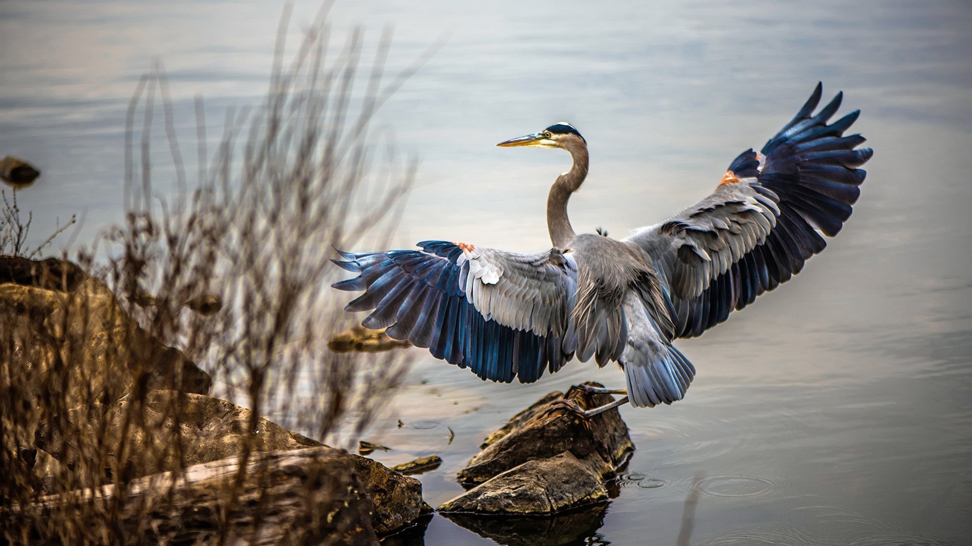中国足协与欧洲俱乐部合作,提升青训水平,中国足协加入欧足联