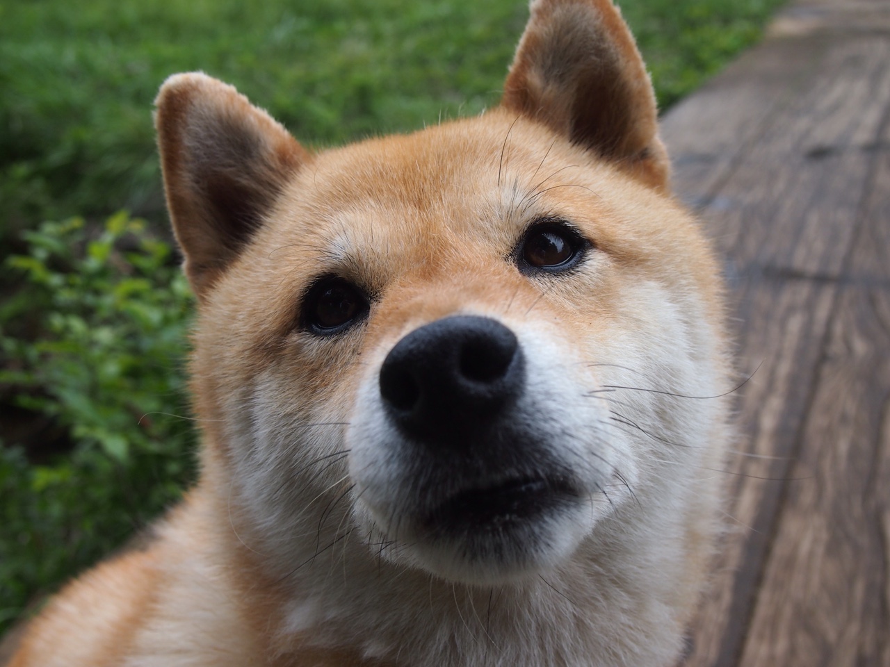 爱游戏在线登录入口-勇士客场逆袭雷霆，库里关键抢断+准绝杀，勇士胜雷霆开赛四连胜库里23分