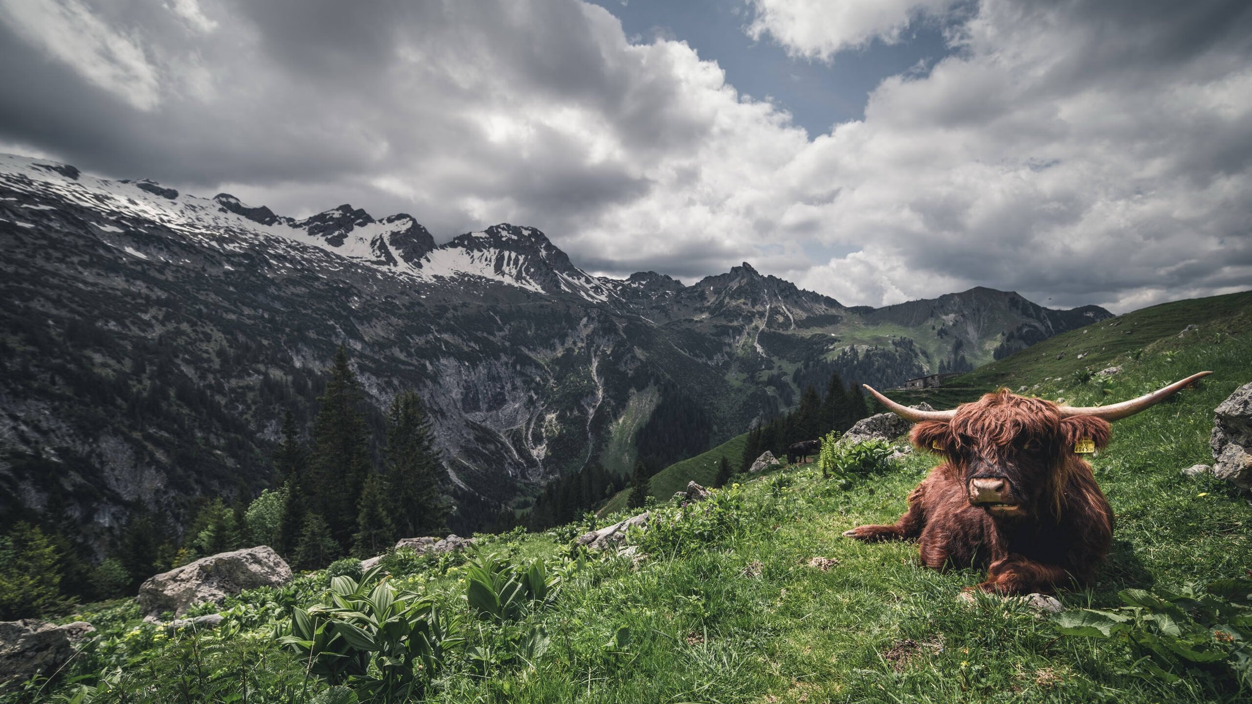 强者胜出:比赛中诞生出不少顶尖的豪强,强者必胜
