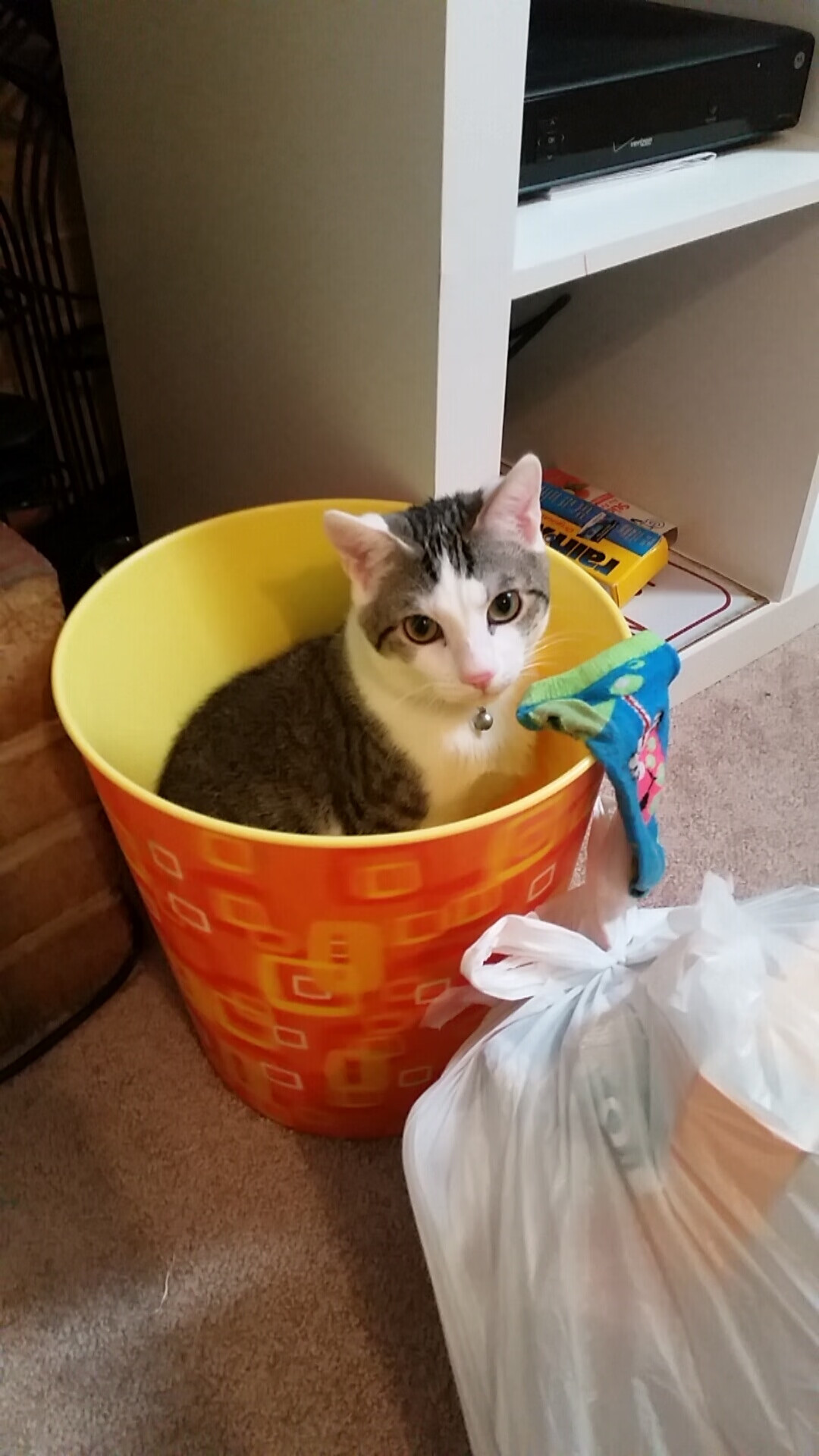 普拉提课程在企业员工健康管理中应用广泛，普拉提培训的课程介绍