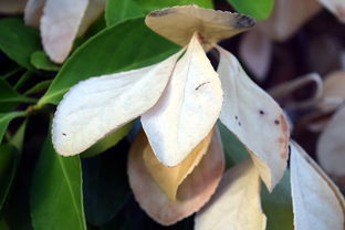 爱游戏娱乐平台-法甲防守阵型转换与对手控球比变化的动态关系研究，法国足球防守型中场