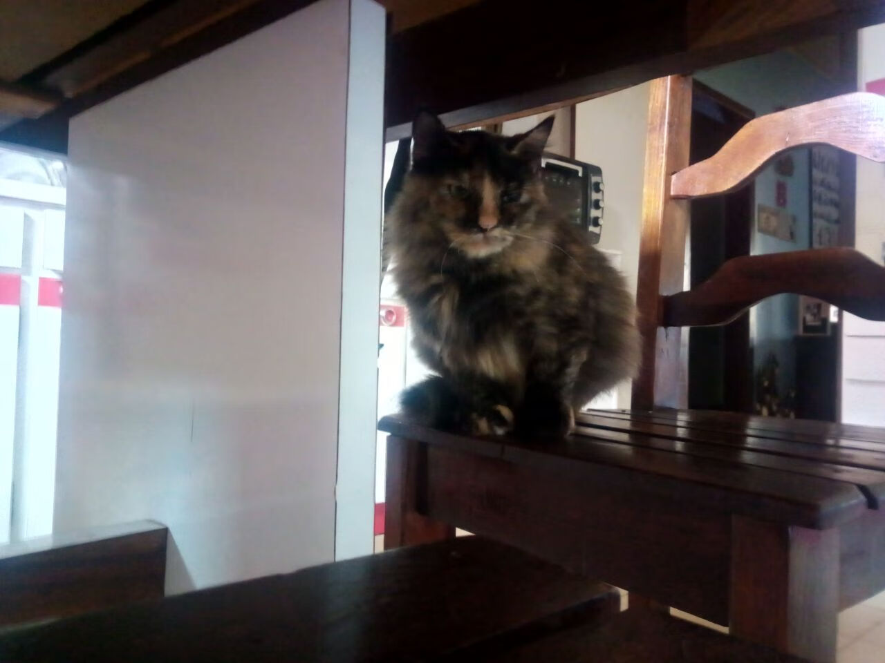 Chinese Taipei乒乓战术：精准预测与快速反应，台湾报道乒乓球