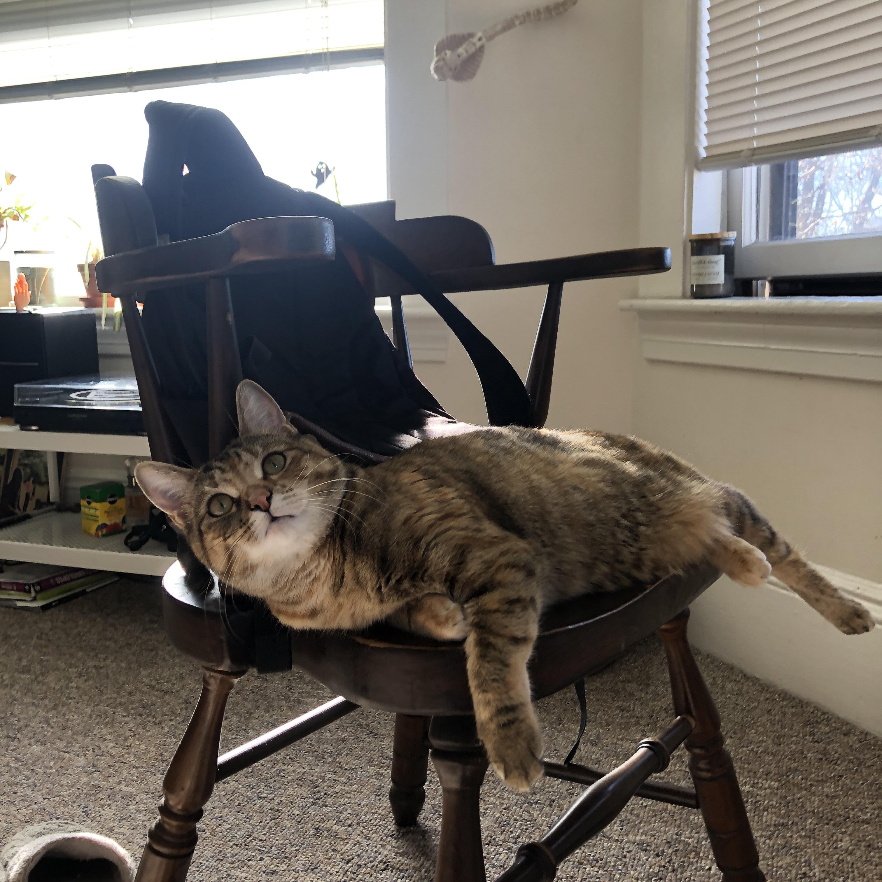 爱游戏官网-五大联赛上座率变化是否对主队战术部署产生影响，上座率最高的球队