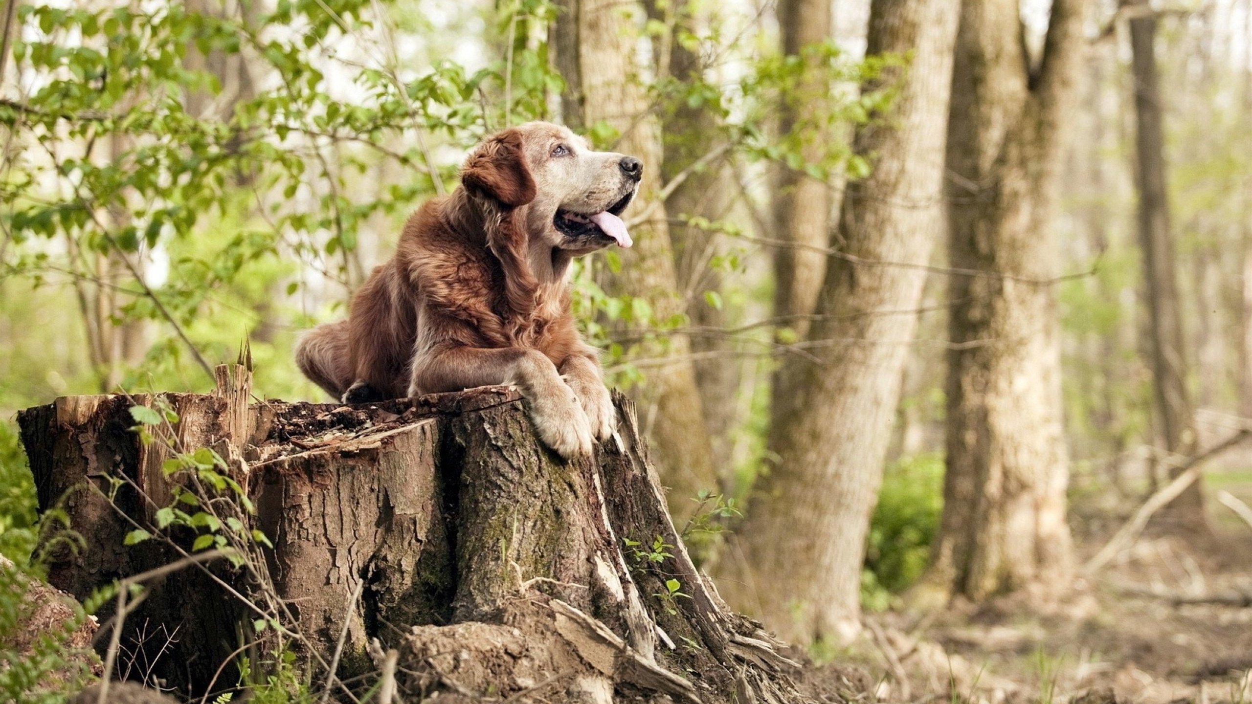 体育新闻中心承办体育行业数字转型成果展览会,体育数字化改革