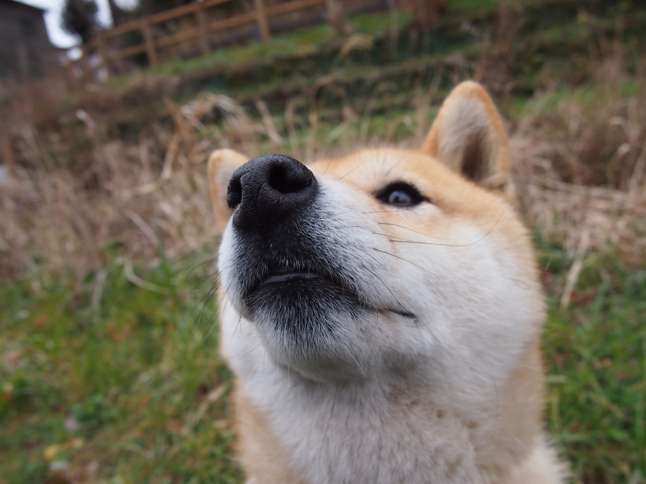 爱游戏电竞官网-拜仁高位防守成功率领先全场，拜仁防线