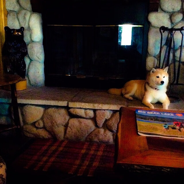 爱游戏下载-球星在不同节奏下的表现是否一致，各球星的区域