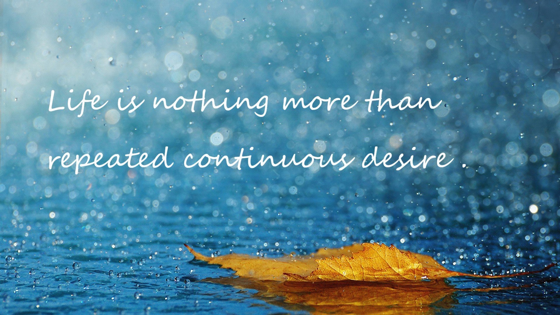 男子100蛙德国选手成功晋级决赛,男子一百米蛙泳决赛