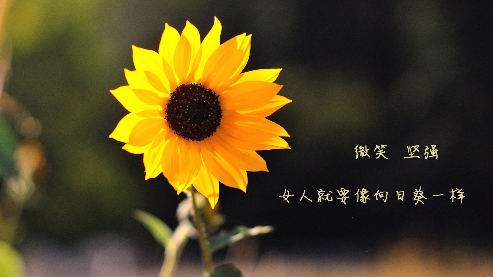 赫塔菲门将高接低挡力保球门不失,赫塔菲最近战绩