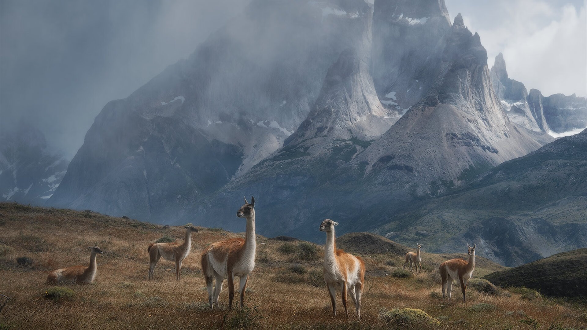 马拉松赛事路线优化保障安全，马拉松比赛线路图