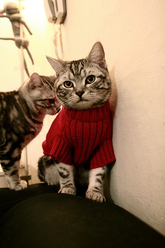 法甲新秀崭露:未来巨星崭颖而出!,法甲十大新星