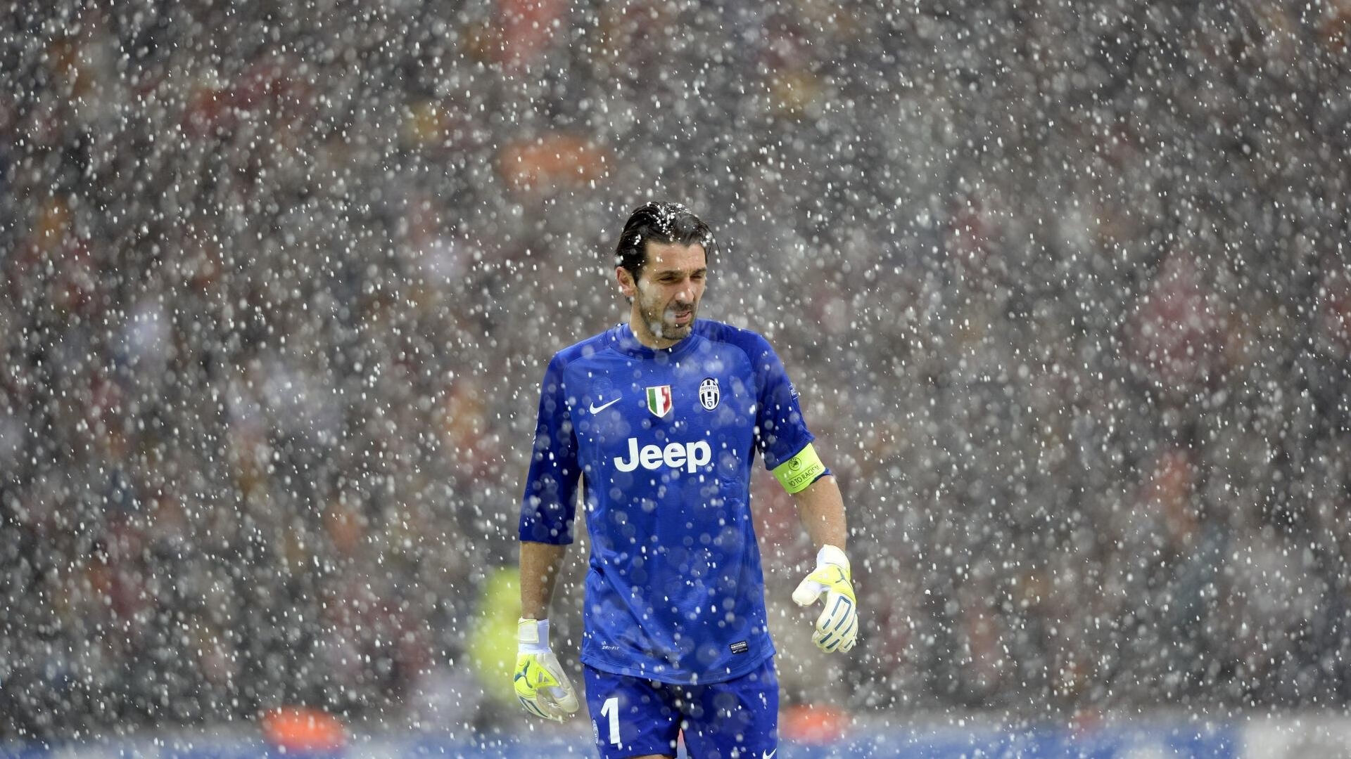 福特:从新西兰橄榄球新星到全黑队的重要成员,新西兰橄榄球队服